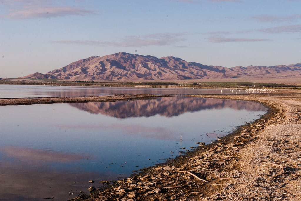 Salton Sea
