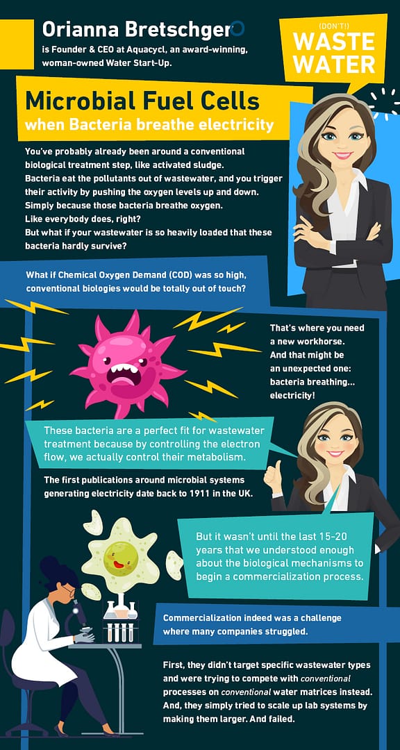 Orianna Bretschger Infographic
