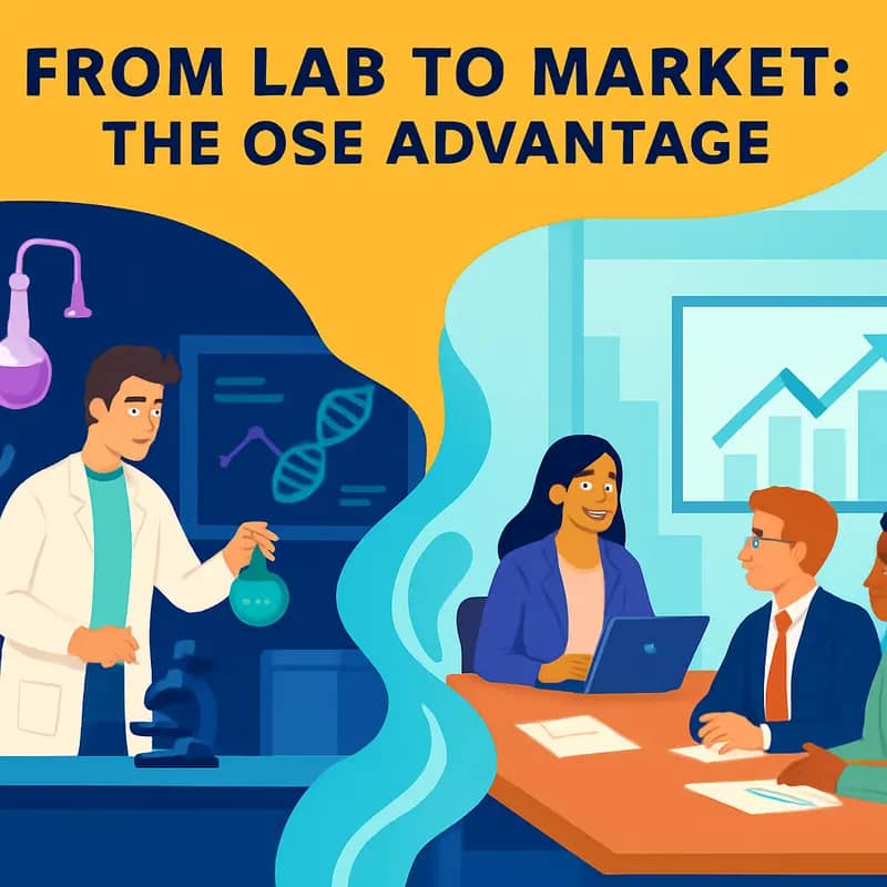 OSE’s multi-stage investment capacity visualization