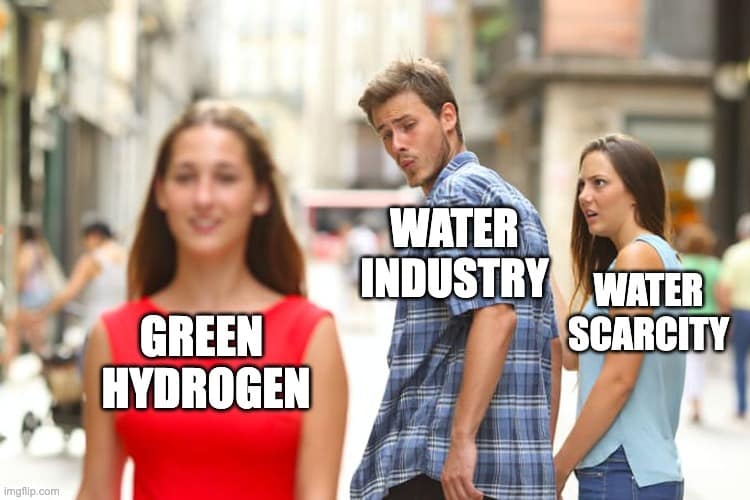 Is the Hydrogen Economy really an Opportunity? Could you reap it?
