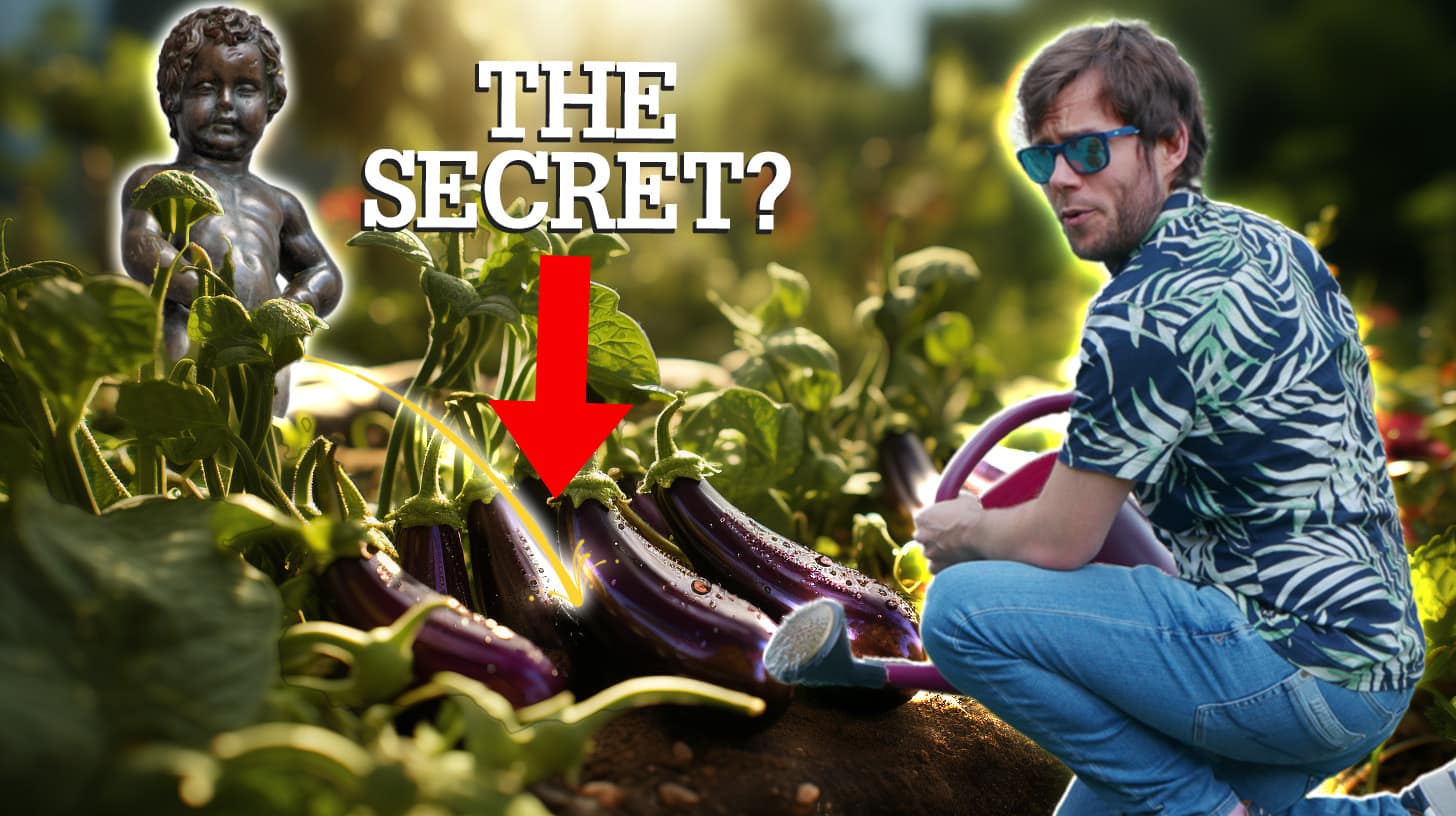 Urine for a Surprise: is Toilet Waste the Future of Farming?
